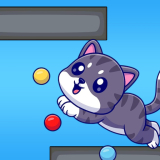 Rolling Cat Challenge